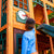 Falcon Ridge Swing Set